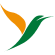 Air Antilles Express